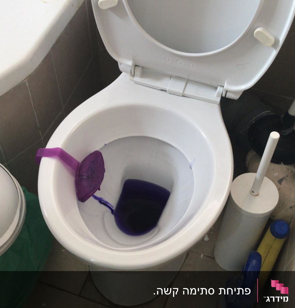 אסלה עם חומר ניקוי סגול ומברשת שירותים